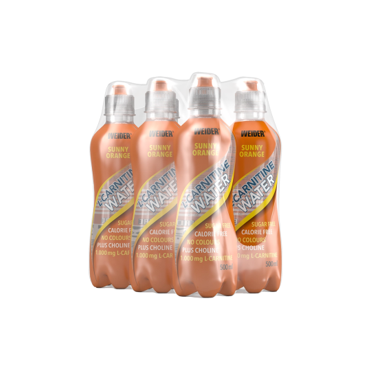 6er Pack | L-Carnitine Water