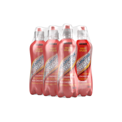 6er Pack | L-Carnitine Water