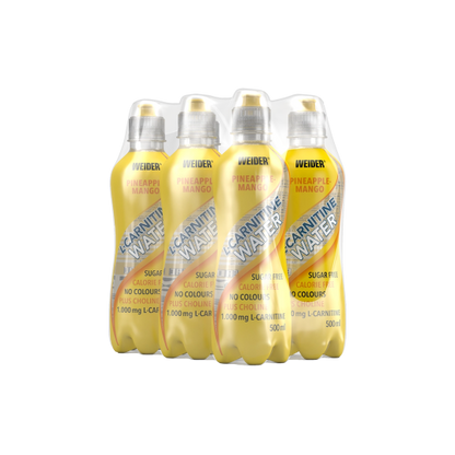 6er Pack | L-Carnitine Water